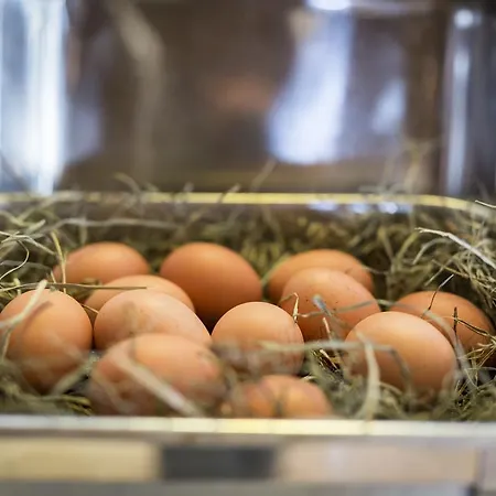 Laurenzhof فندق Lendorf