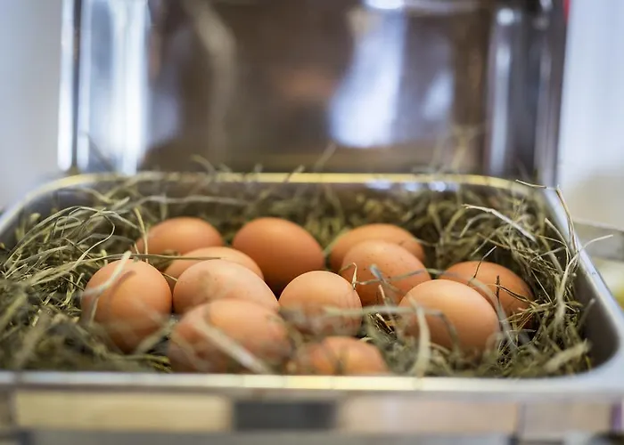 Laurenzhof Hotel Lendorf